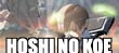 Hoshi no koe (Makoto Shinkai/MangaZoo)